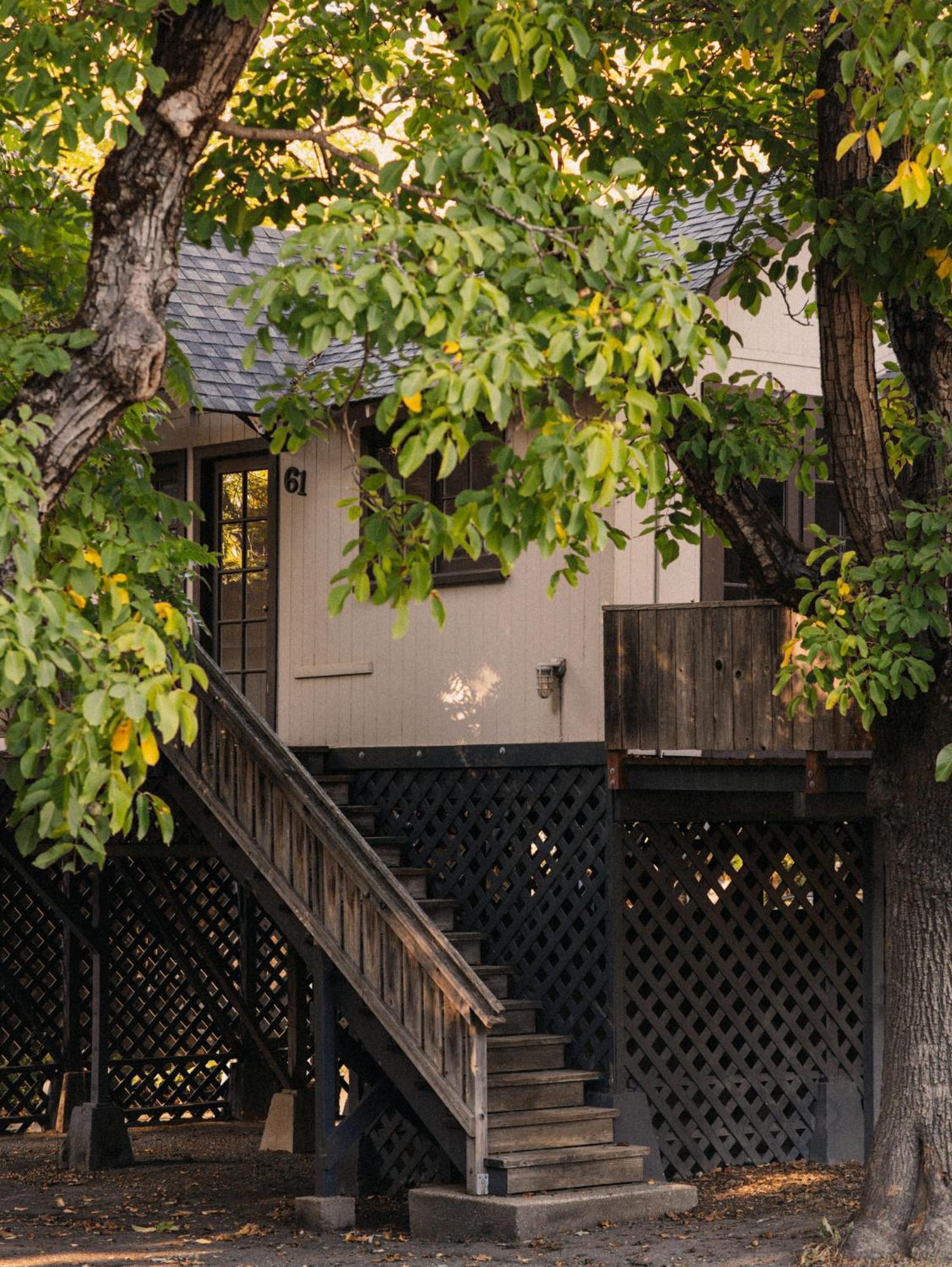 Johnson'S Beach Cabins And Campground Guerneville Bagian luar foto