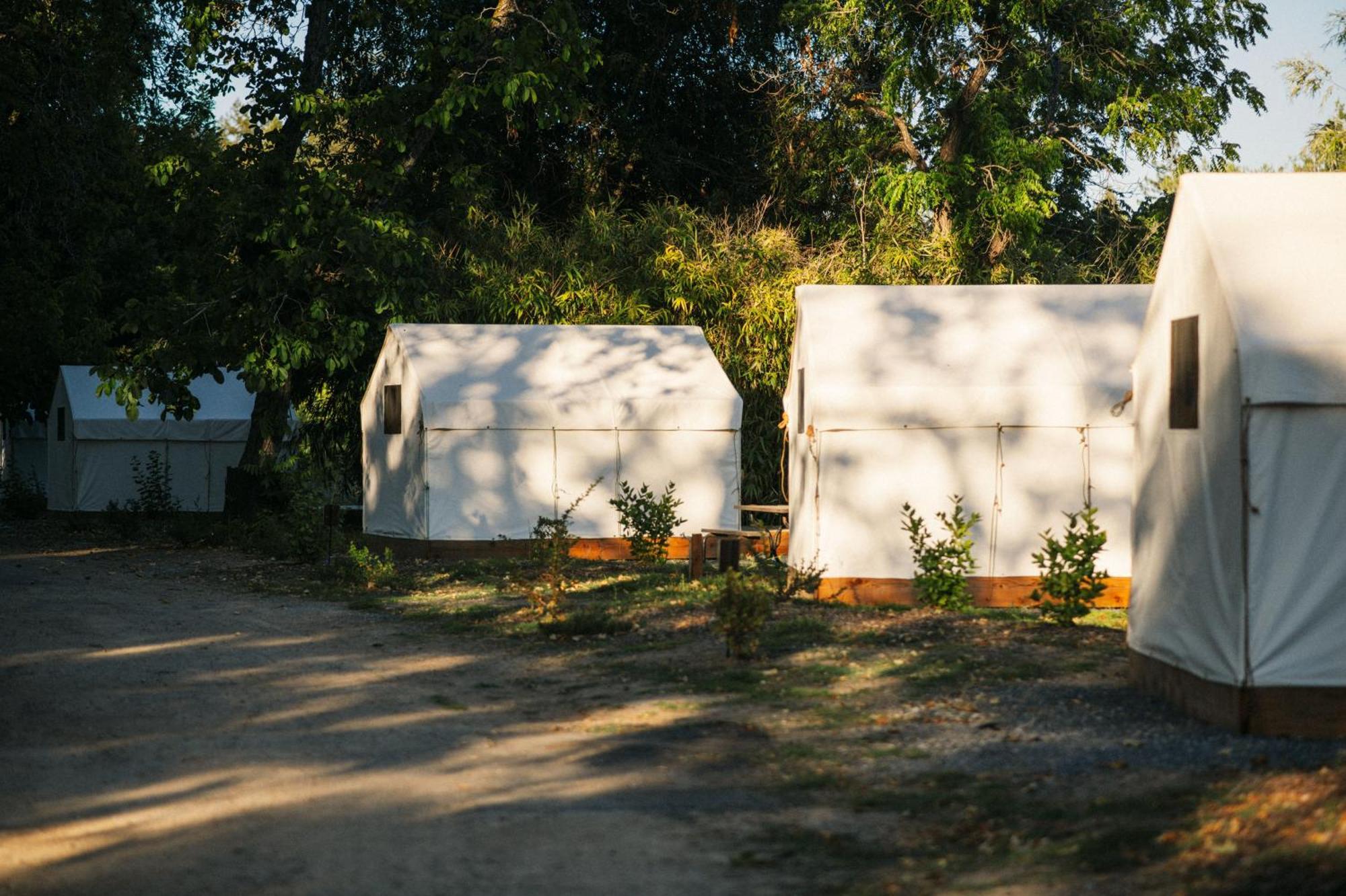 Johnson'S Beach Cabins And Campground Guerneville Bagian luar foto