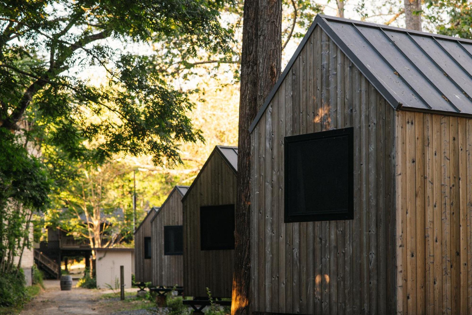 Johnson'S Beach Cabins And Campground Guerneville Bagian luar foto