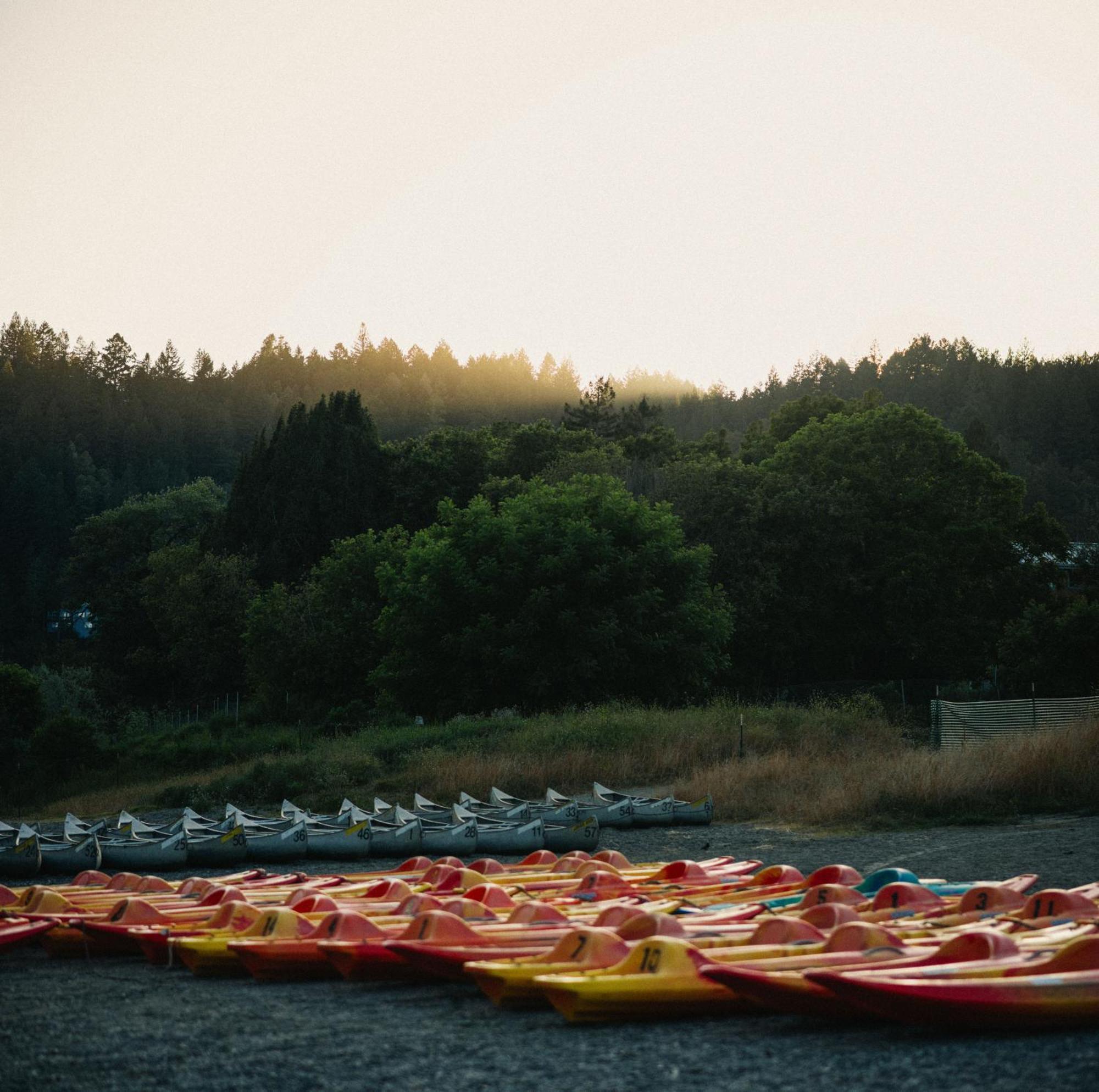 Johnson'S Beach Cabins And Campground Guerneville Bagian luar foto